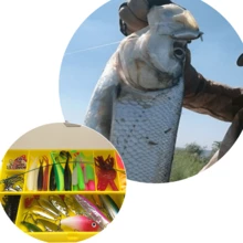 Bait Rigging - 彩色 - 查看 4