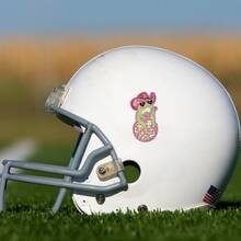 Decal dán xe hình chú ếch nghệ thuật màu hồng - Miếng dán chống nước, hoàn thiện mờ, thích hợp cho máy tính xách tay, máy tính bảng, ô tô, điện thoại và tủ - Miếng dán máy tính xách tay | Decal hoàn thiện mờ - Nhiều màu - Xem 4