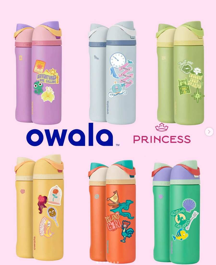 24oz Insulated Stainless Steel Cup With Straw For Sports, Travel, And School Sports Water Bottle,24oz OwalaFreeSip - 長髮公主 - 查看 1
