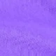 Lilac Purple