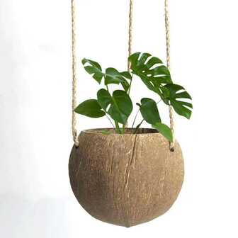 1个半圆形天然椰壳花盆吊篮，藤编花盆，吊挂式花盆，多肉植物吊挂装饰，餐厅装饰