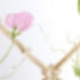多色-6PC