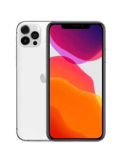 IPhone 12 Pro Max Silver 256GB Unlocked (Fair Condition) | SHEIN USA