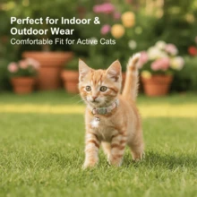 1件装可调节可拆卸安全扣猫项圈，带星形吊坠，适合小型/中型/大型猫咪，宠物礼物