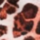Brown Leopard Print