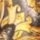 ouro negro
