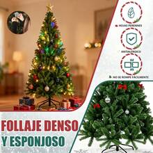 Christmas Trees - 2.30M - View 8