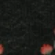 الأسود