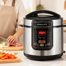 Olla a presión eléctrica y arrocera con recipiente interior de acero inoxidable, con múltiples modos de cocción, recipiente interior fácil de limpiar, diseño compacto, control automático de la presión y función de mantenimiento, función para mantener el calor. Ideal para reuniones familiares y guisos saludables. - Tipo de Enchufe A USA (110-127V) - Ver 2