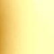 新-金色