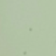 淺綠色