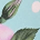 Type C