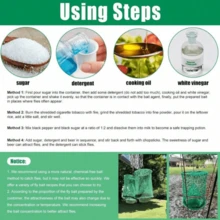 Trampa de moscas reutilizable Dazone Ranch con jaula colgante y macetas de plástico para matar y controlar moscas en interiores y exteriores, granjas familiares, parques y restaurantes - Verde - Ver 4