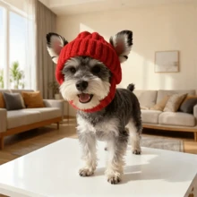 1pc Pet Knit Hat, Autumn/Winter Pet Indoor/Outdoor Warm Hat, Cute Pet Warm Cap - Multicolor - View 5