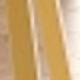 Dorado