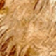 Dorado