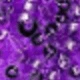 Dark Purple