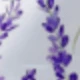 Purple-6PC