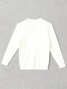 Men's Casual Ribbed Knit Sweater, Round Neck, Minimalist & Fashionable For Everyday Wear