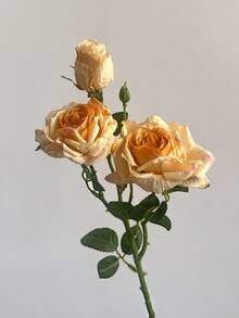 French-Style Artificial Rose, Home Decor Accessories, Single Stem With Three Heads And Burnt Edges, Vintage Style, Featuring A Sophisticated Look With Artificial Flowers And Dried Flowers, Ideal For Home, Wedding, And Event Decorations, Decorations For Valentine's Day