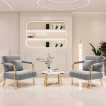 Butterslay 1pc Upholstered Accent Chair Modern Velvet Chair With Golden Metal Legs & Cozy Pillow, Leisure Arm Chair For Home Office - 淺灰色 - 查看 2