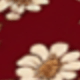 彩色