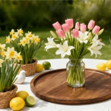 1个大号红木圆形托盘，现代农舍风格托盘，圆形种植托盘，种子托盘，木质植物托盘，适用于盆栽植物展示、摆放、种植，户外露台，户外花园装饰，户外及花园用品，春夏秋冬园艺，母亲节，生日礼物，情人节礼物