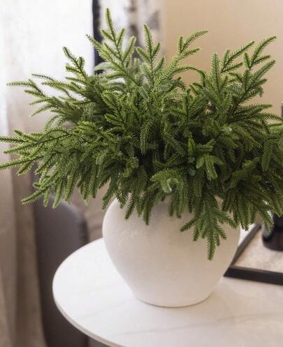 24 ramas de pino araucaria, adecuadas para decoración de otoño/invierno, decoración del hogar, decoración de habitaciones, decoración de mesas, Día de San Valentín, regalos, cumpleaños, graduación