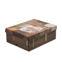 Nike Air Jordan 1 Retro High OG BG Women Sneakers, Casual Shoes FD1437-106