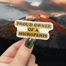趣味“小阴茎骄傲拥有者”乙烯基贴纸 - 防水，自粘式，适用于笔记本电脑、水瓶、汽车 - 光面，一次性使用，黑色背景黄色文字设计，防水贴纸，剪贴簿用品，趣味贴纸，笔记本电脑贴纸，Kindle手机贴纸 - 彩色 - 查看 12