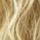 Blonde Ombre