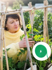 6件/3件装 - 攀援藤蔓绿色植物造型园艺魔术贴绳，带绿色植物捆绑固定枝条插花套装，植物绑带，植物绷带，家居花园植物造型胶带魔术贴竹竿缠绕支撑配件，可调节花园扎带 - 可重复使用，强力抓力植物支撑带