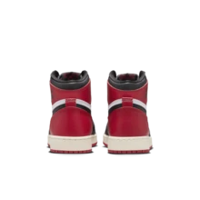 Nike Air Jordan 1 Retro High OG BG Women Sneakers, Casual Shoes FD1437-106