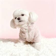 贵宾犬/泰迪熊款仿保暖内衬狗狗外套，适合中小型犬，户外保暖服 - 粉色 - 查看 4