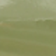 màu xanh lá