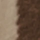 Chocolate Brown