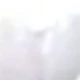 彩色