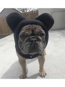 Cute Dog's Fleece Bat Warm And Windproof Hat Soft Warm Adjustable French Bulldogs Winter Hats Knitted Pet Supplies Dog Clothing Accessories Full Coverage Pet Hat - Multicolor - View 4