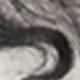 Cabello rizado