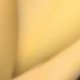 Dorado