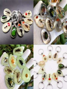 Glow-In-The-Dark Encapsulated Real Cicada, Crab, Spider, Scorpion Keychain. Symbolic Backpack Pendant, Water Drop Shaped Real Insect Specimen Desk Toy, Car Decor, Office Decoration, Wall Art, Versatile Keychain, Unique Artistic Gift - Multicolor - View 14
