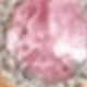 silvery pink