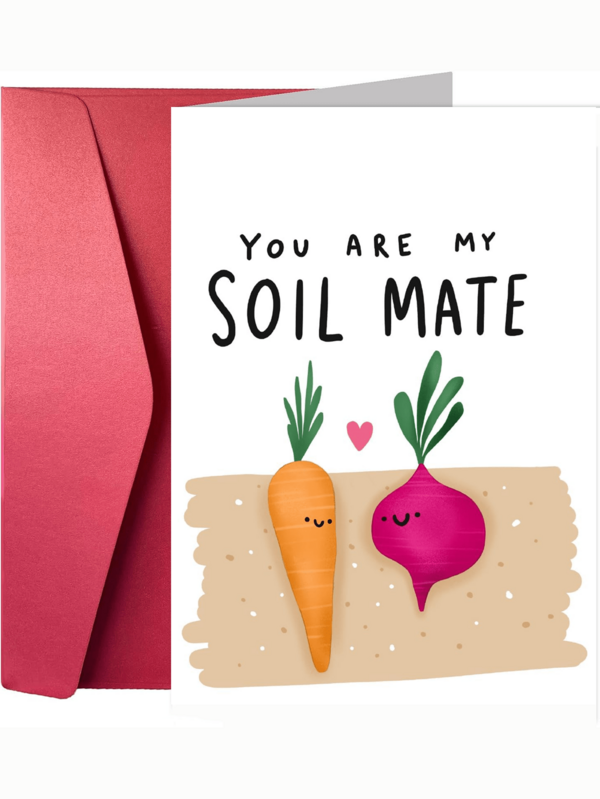 1pc A Funny Valentine'day Cards, Innovatively Designed Card - Multiple Envelopes In Red, Gold, And Pink Are Available For Selection, Thickened Cards And Thickened Envelopes - In This Garden - Like Life, You're My Sweet - Rooted Soulmate - Solid Color Design, Spoof Gifts For Friends, Sisters, Brothers, Colleagues,Valentine And Friends