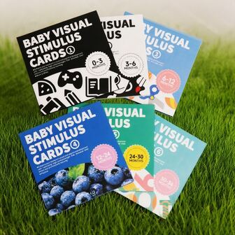 黑白闪卡组合套装，适合不同年龄段，包含大尺寸黑白闪卡，专为儿童设计，包含动物、水果、数字、字母、交通工具等内容，有助于幼儿感官发育，适合0-36个月的宝宝，是促进婴儿视觉发育的理想玩具，也是万圣节或圣诞节的绝佳礼物。