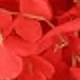 紅色