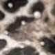 estampado de leopardo