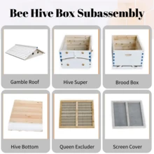 ACORNS Auto Bee Hive Starter Kit - Bee Hive Tool Bag For Beginners With 7 Flow Beehive Frames - 白色 - 查看 3