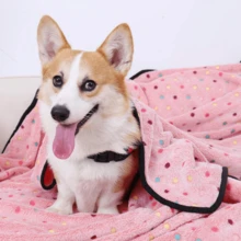 1 包狗狗猫咪宠物毯，蓝色圆点保暖珊瑚绒，大、中、小型犬沙发床罩，家用羊毛毯