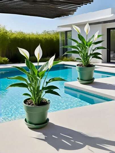 Artificial Tropical Plant Combinations: UV-Resistant And Waterproof Design, Perfect For Outdoor Use And Humid Environments. Crafted With High-Quality PE/PVC Materials, These Lifelike Green Plants And Flowers Add Vibrant Charm To Photography Props, Indoor Home Decor, Wedding Backdrops, Or Apartment Settings.