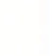 Trắng 004
